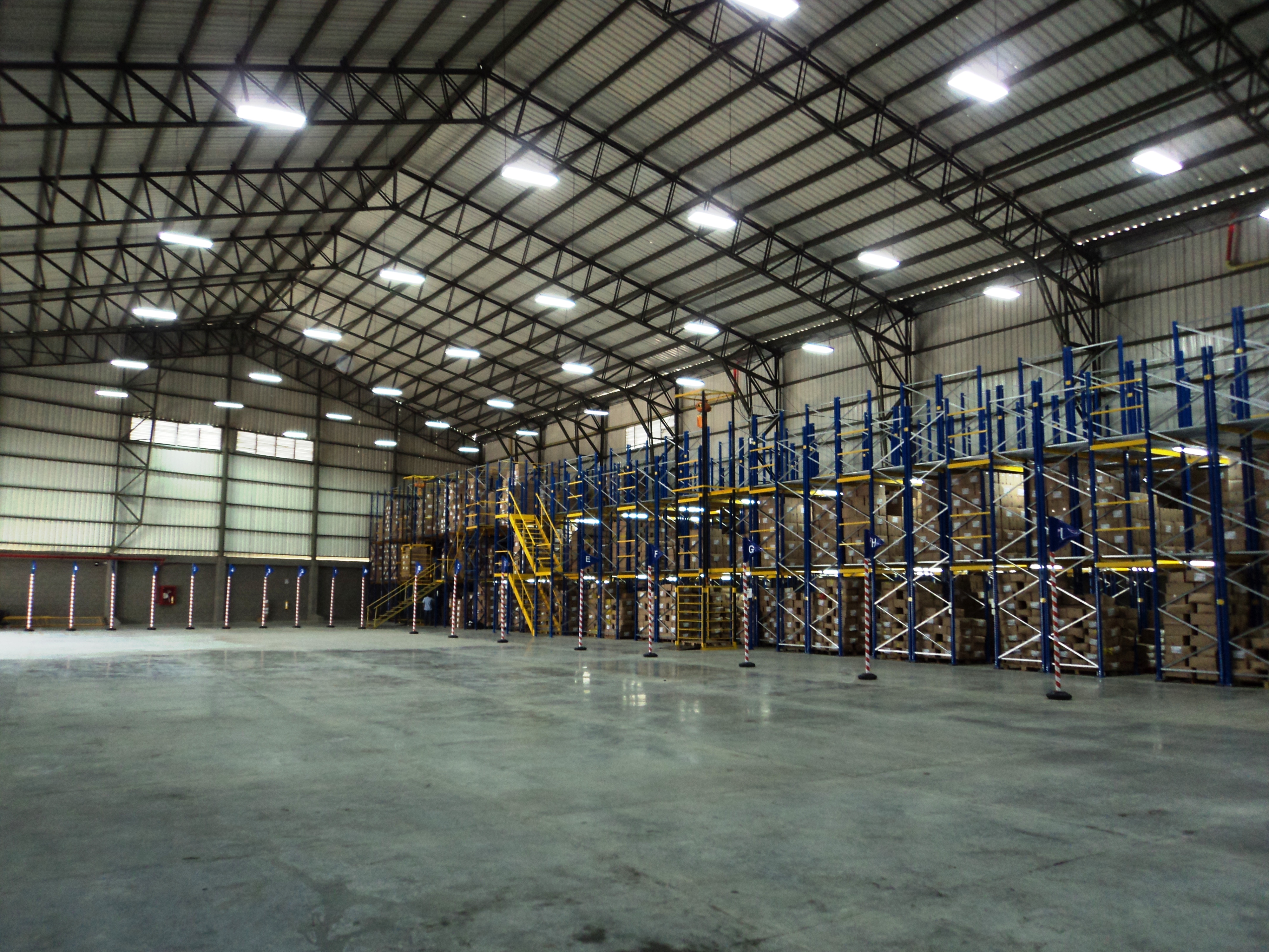 elegida_1_1522773897